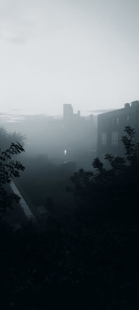 Photograph by Ирина Власенко