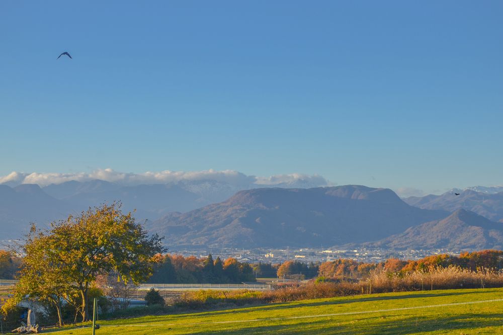 Photograph by Thị Trung Anh Đỗ