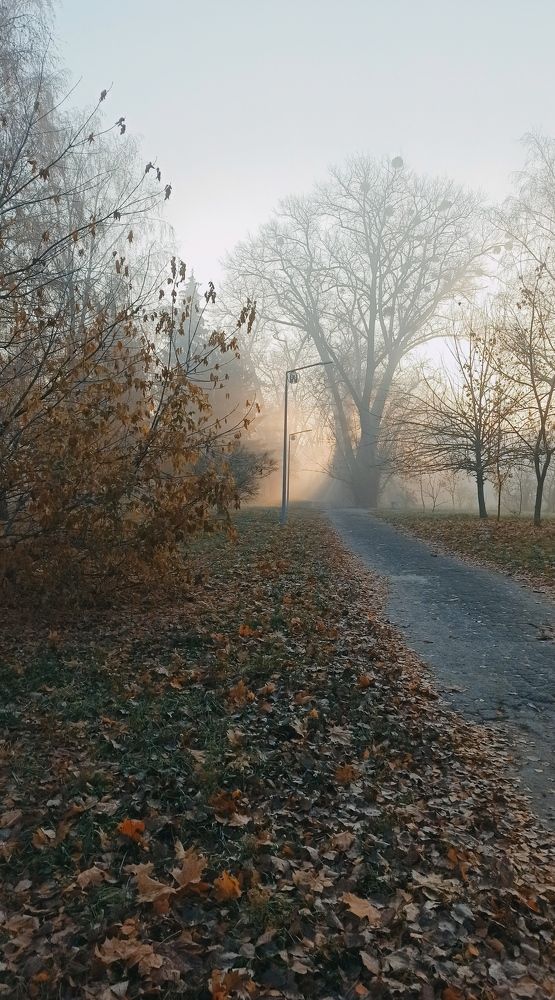 Фотография автора Оксана Талан