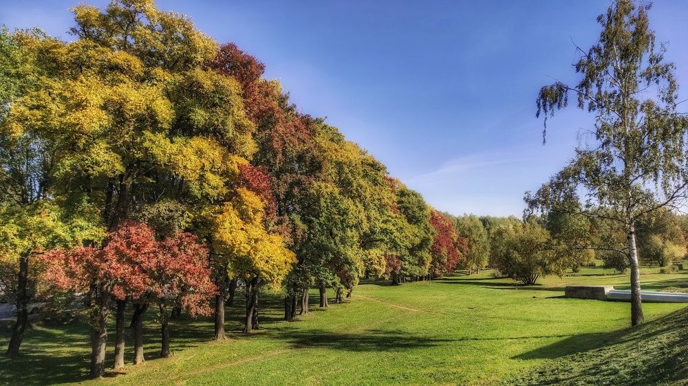 Photograph by Ирина Власенко