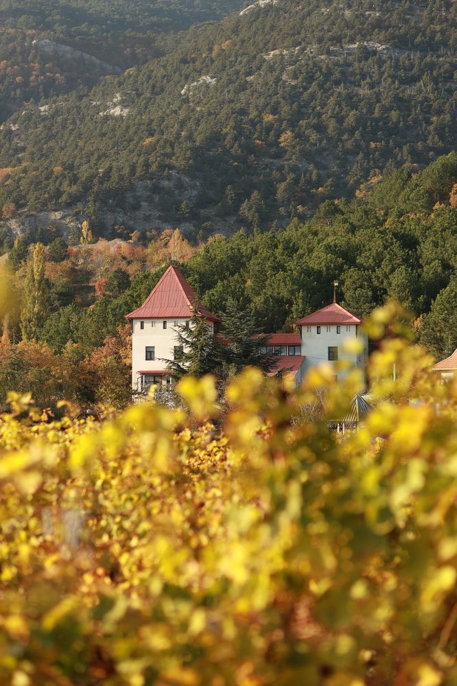 Photograph by Павел Дженбаз