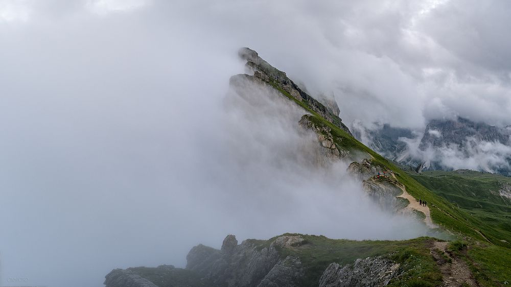 Photograph by Олег Мильбергер