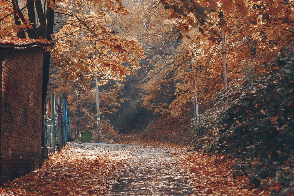 Photograph by Ольга Хоменкова