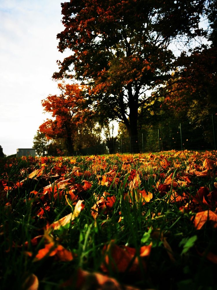 Photograph by Raitis Miksons