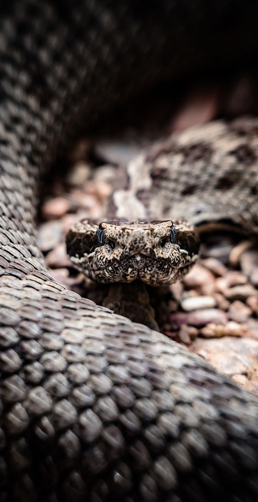 Photograph by Sergei Kidryasov