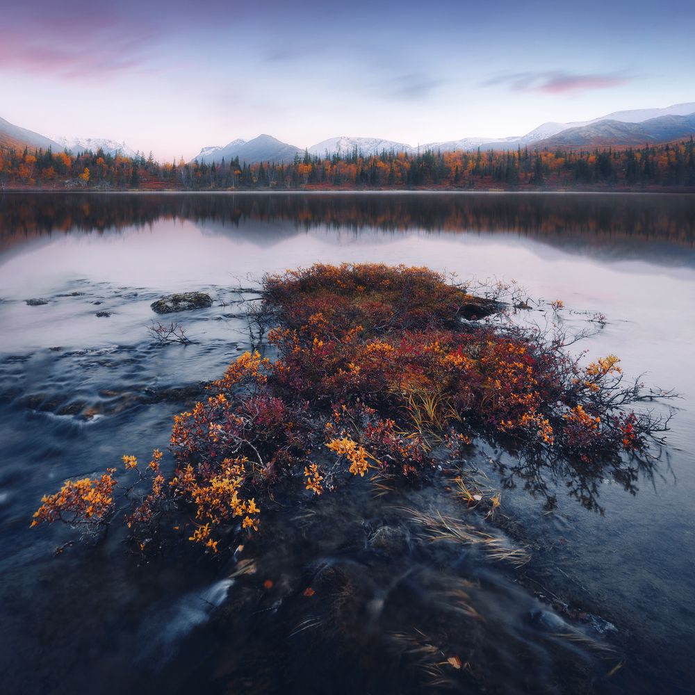 Photograph by Алексей Соколенко