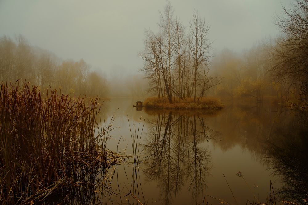 Photograph by Алексей Шевченко