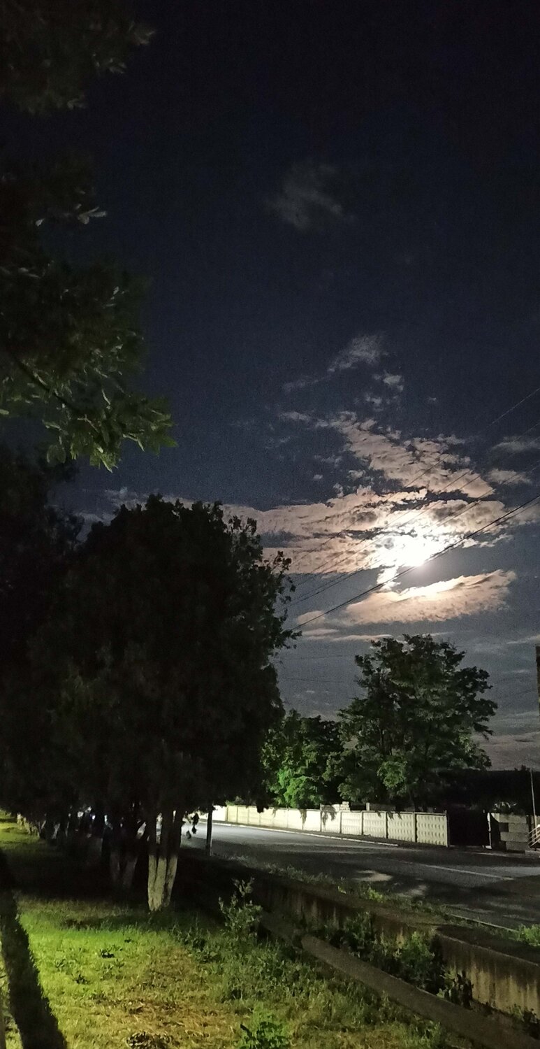 Photo #6740263