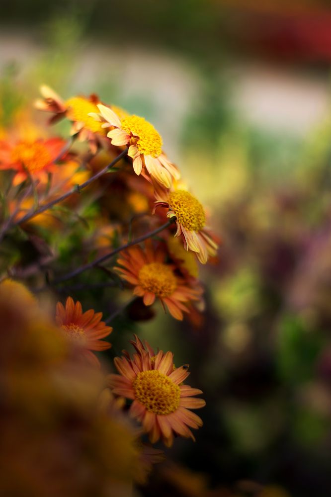 Photograph by Анна Котлярова