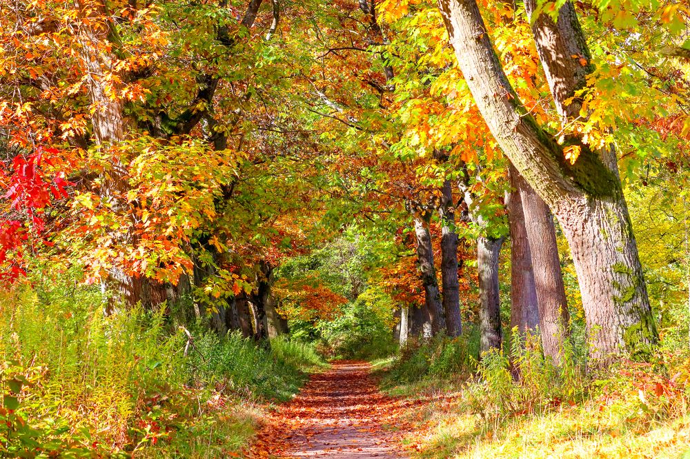 Photograph by Адриана