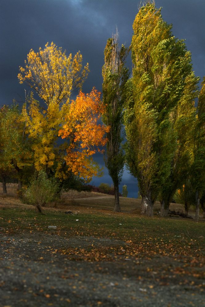 Photograph by Анна Котлярова