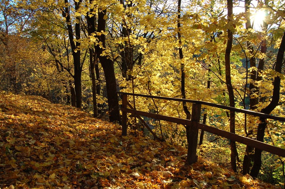 Photograph by Елена Куннова