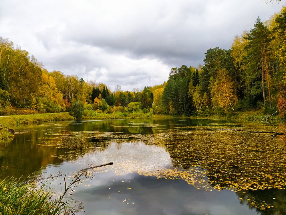 Photograph by Татьяна Кравченко