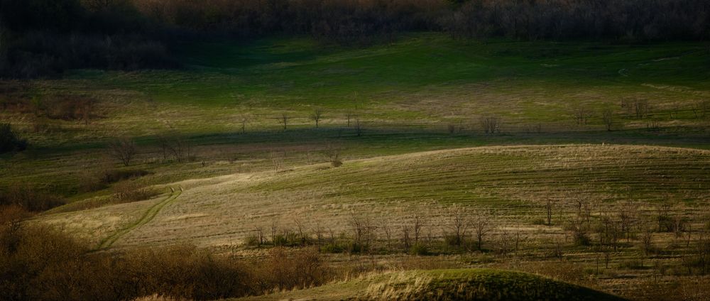 Photograph by Иван