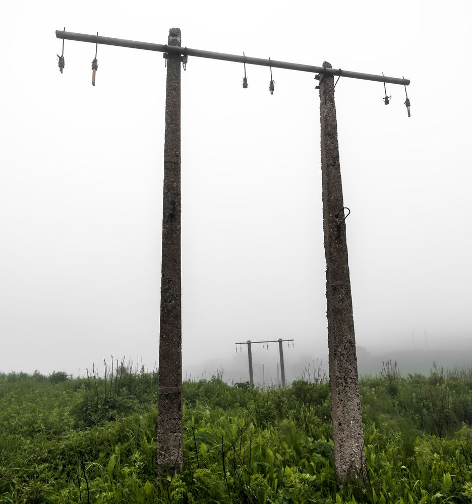 Photograph by Александр Карабас