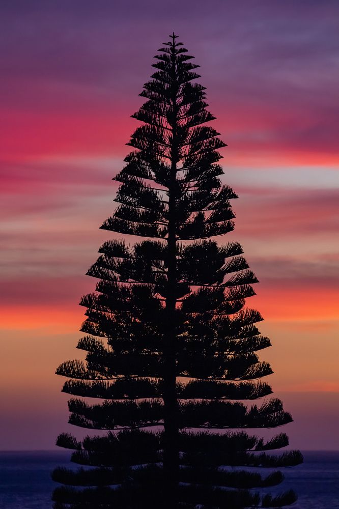 Photograph by Василий Бережной