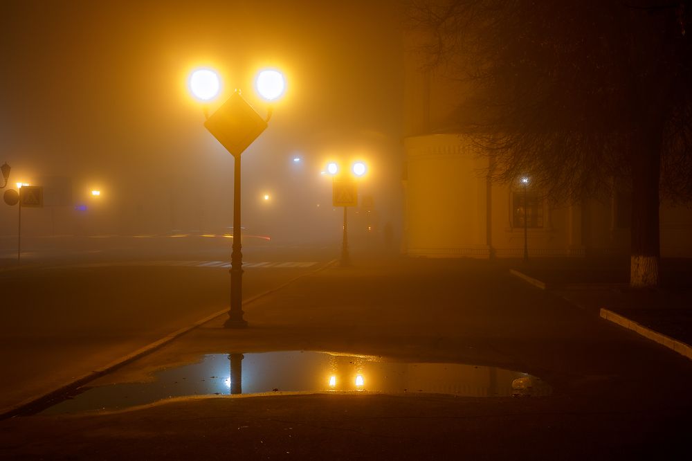 Фотография автора 