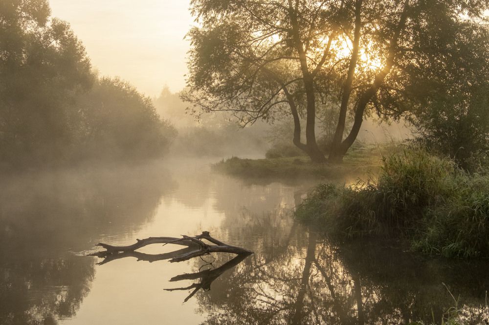Photograph by Елена Маракулина