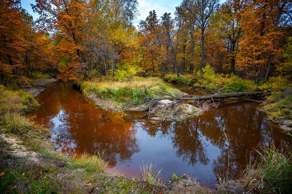Photograph by Алексей Трифонов