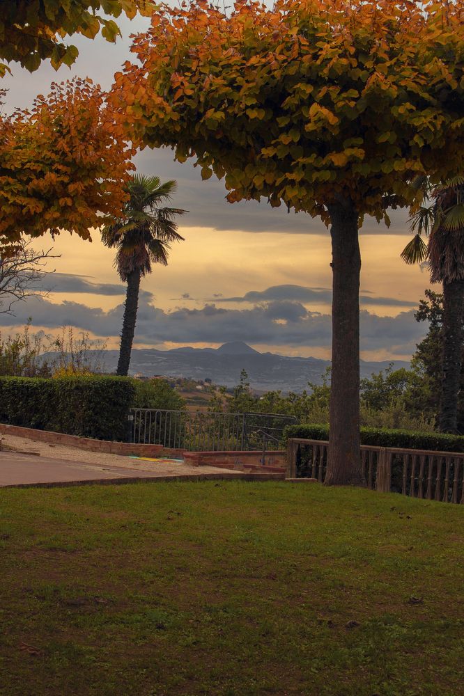 Photograph by Juan Cruz Raschia