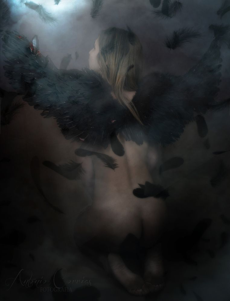 Photograph by Antonio Corrias