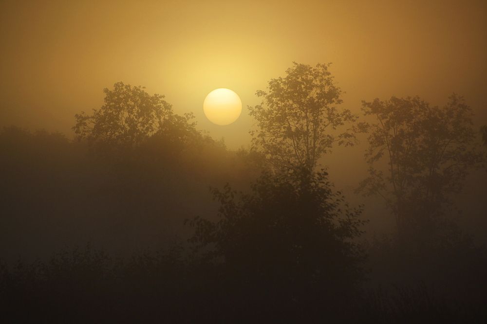 Фотография автора Eimar Kull