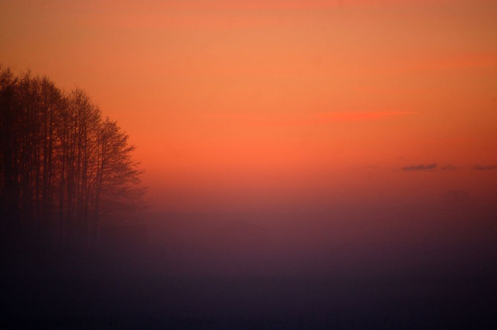 Фотография автора Eimar Kull