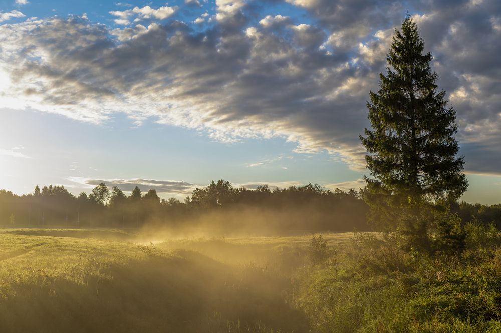 Фотография автора Eimar Kull