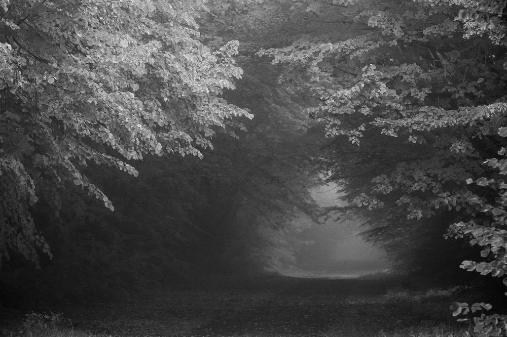 Фотография автора Eimar Kull