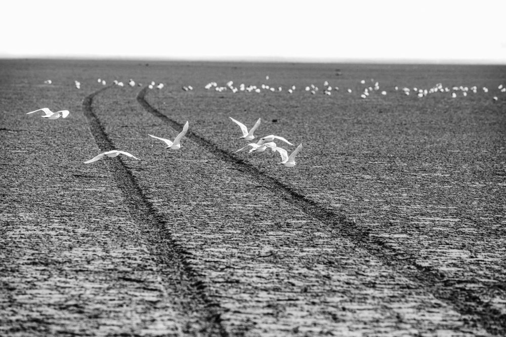 Photograph by Артём Корнев