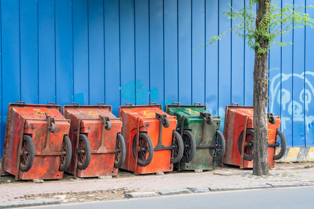 Photograph by Trung Duong