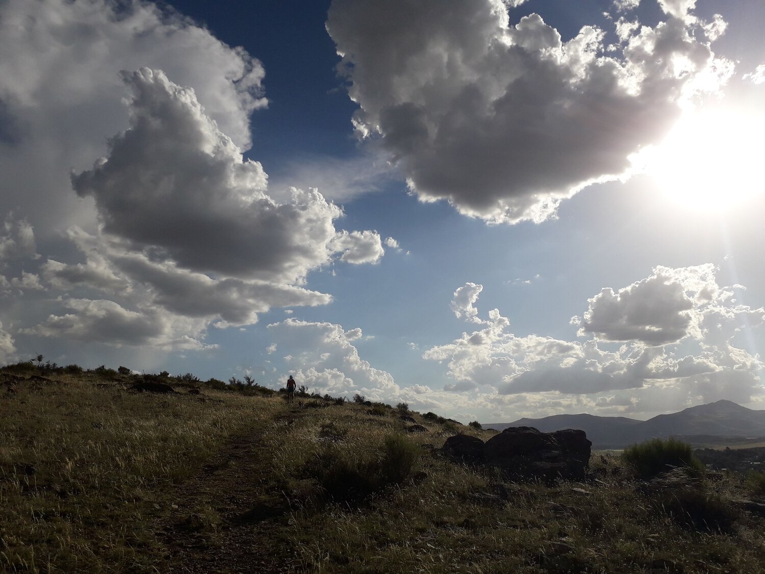 Photo #6740779