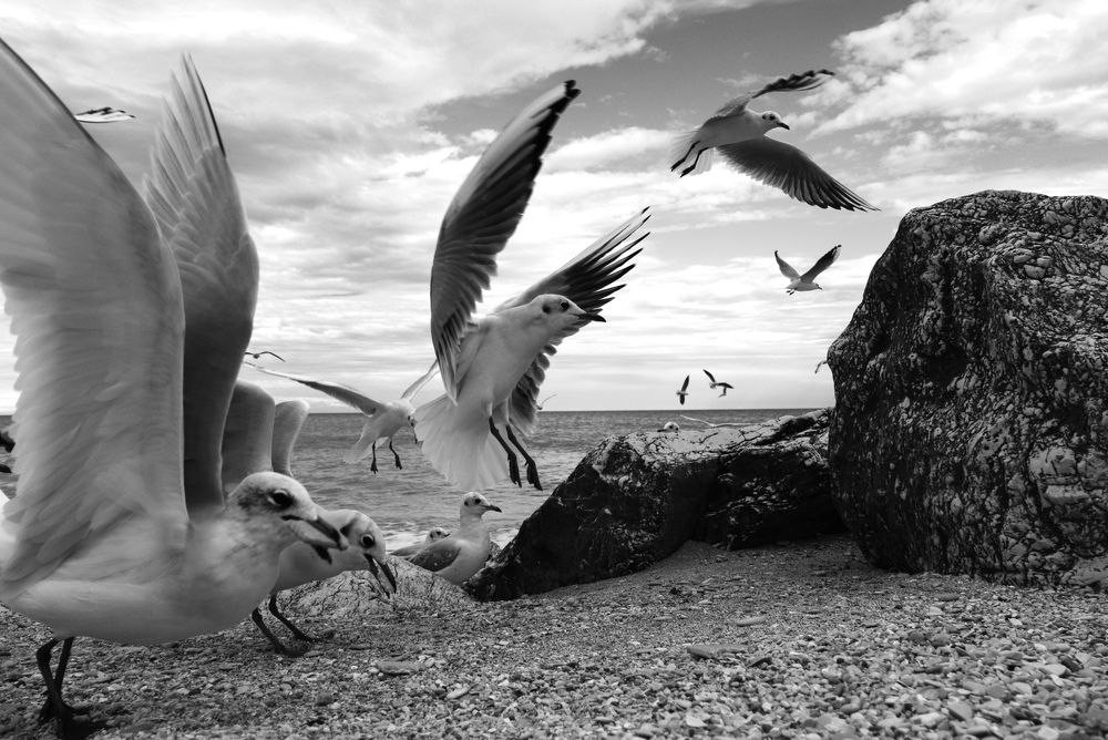 Photo #6740793