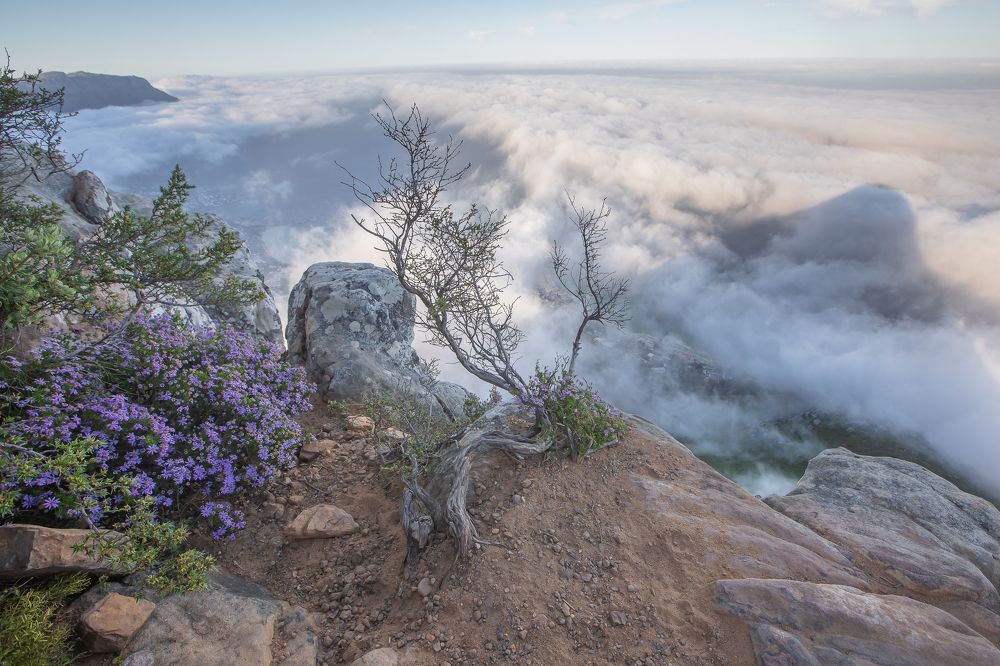 Photograph by Василий Бережной