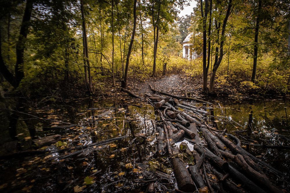 Photograph by Егор Кошкин