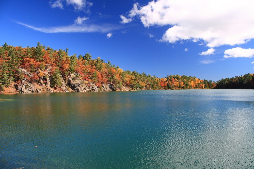 Photograph by Popa Alin