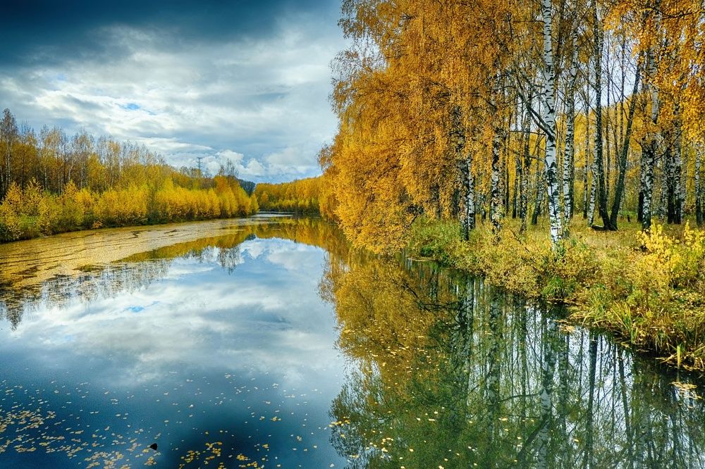 Ушедшая осень