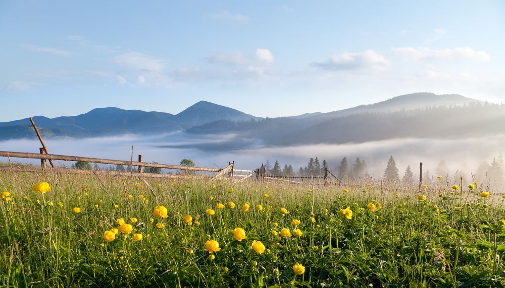 Photograph by Юлия Рублевская