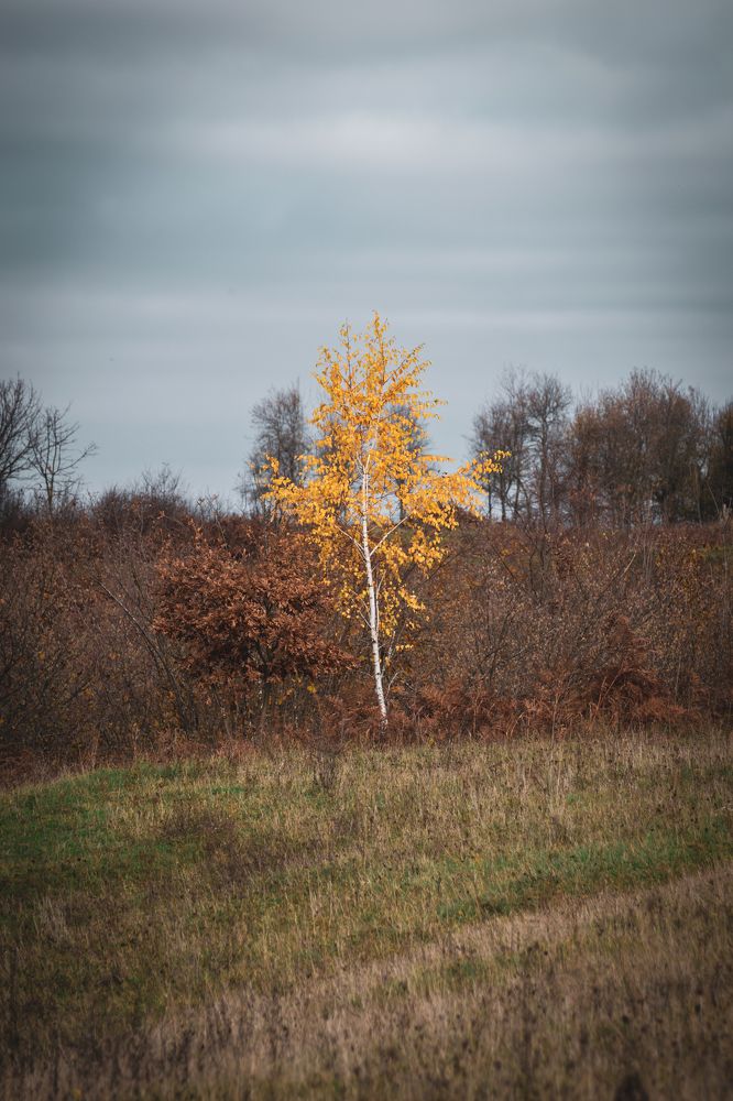 Photograph by Fahrudin Seferagić