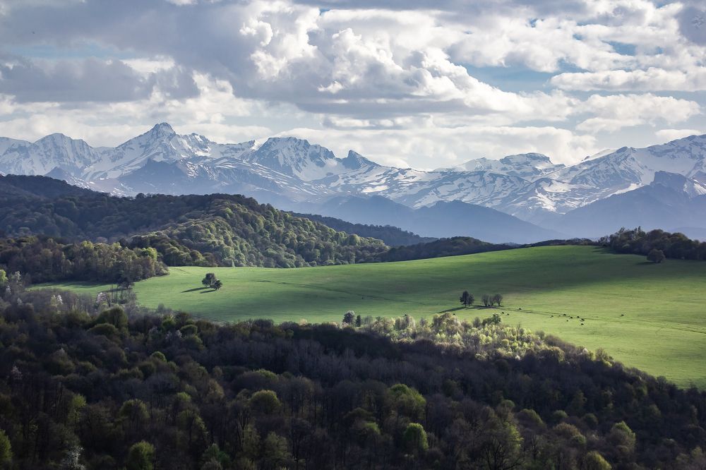 Photograph by Василий Бережной