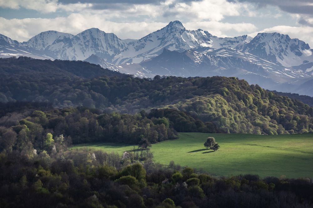 Photograph by Василий Бережной