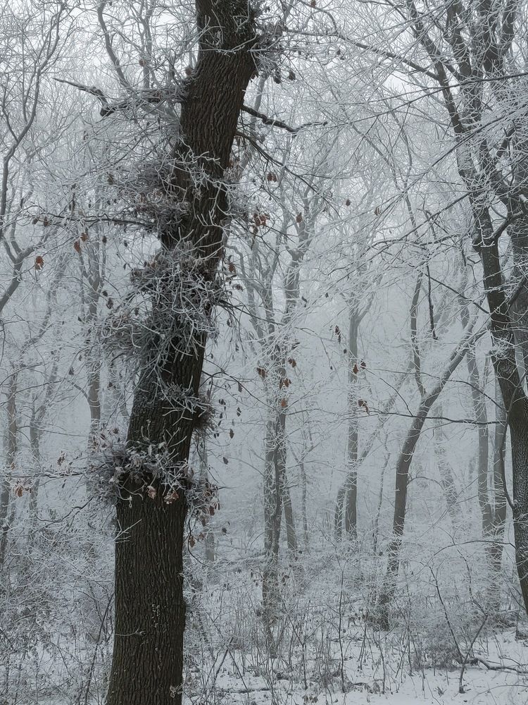 Photograph by Татьяна Белгарокова