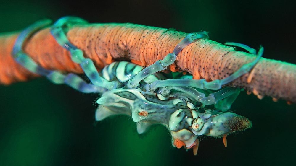 Фотография автора Владимир Чубенко