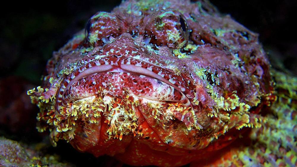 Фотография автора Владимир Чубенко