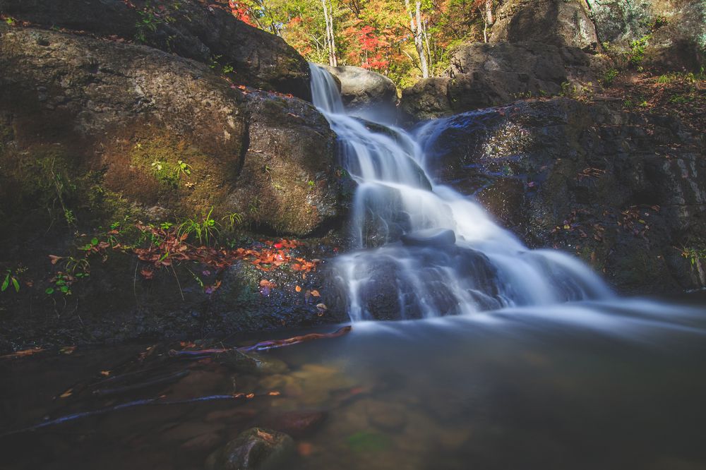 Photograph by Сигида Дмитрий