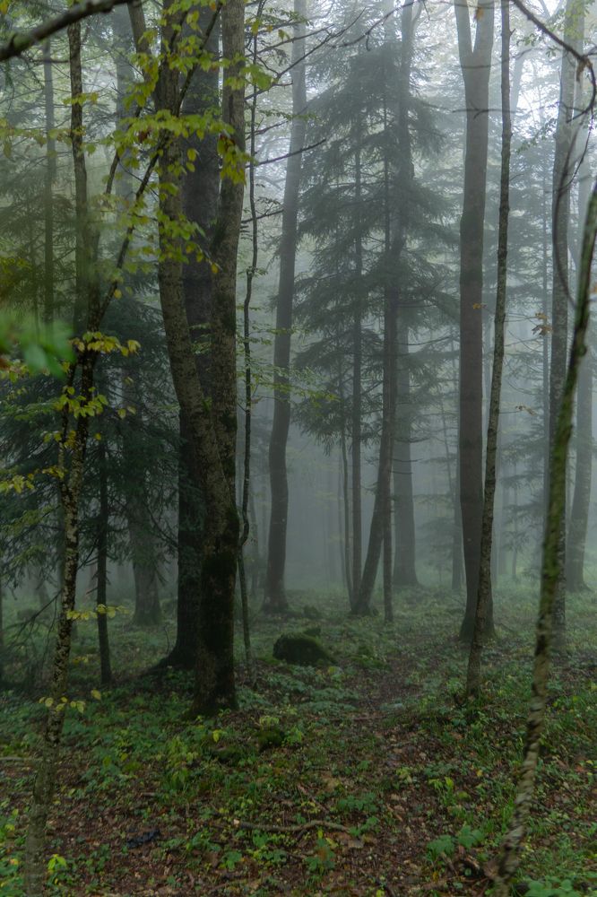 Photograph by Виталий Абдразаков