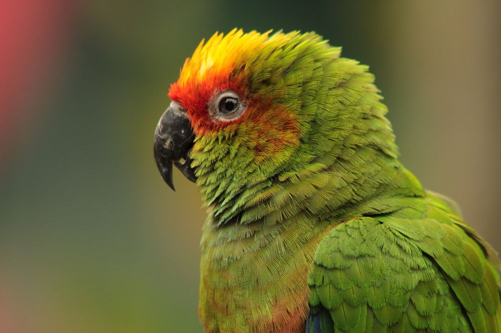 Photograph by Ricardo Venerando