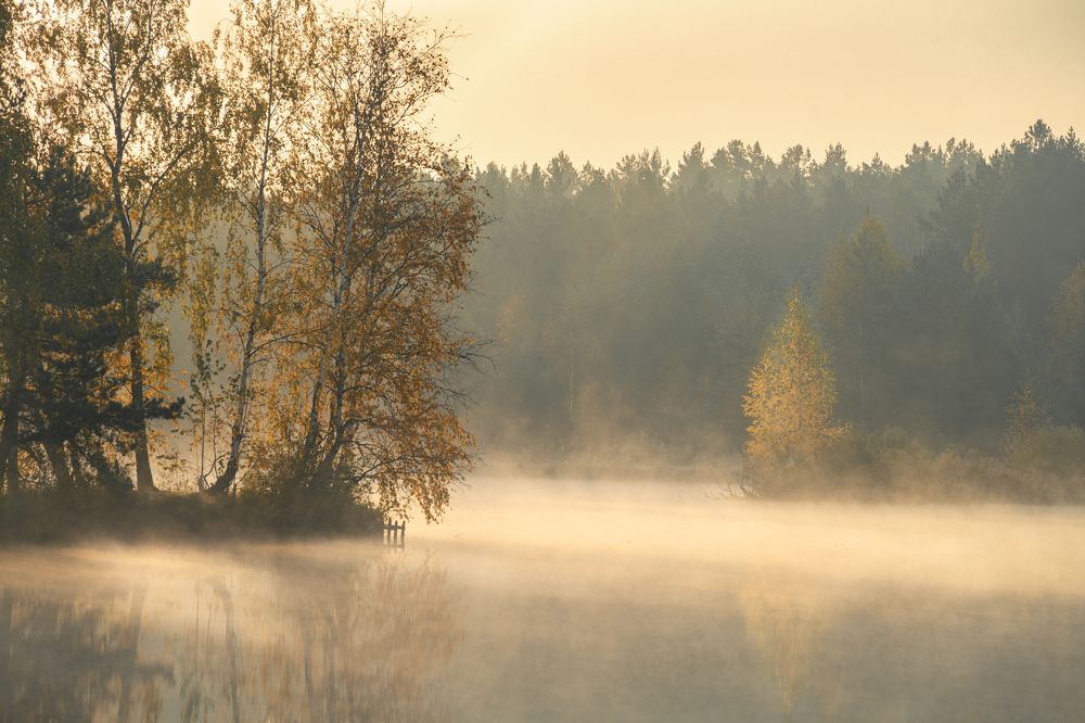 Photograph by Павел Шемякин