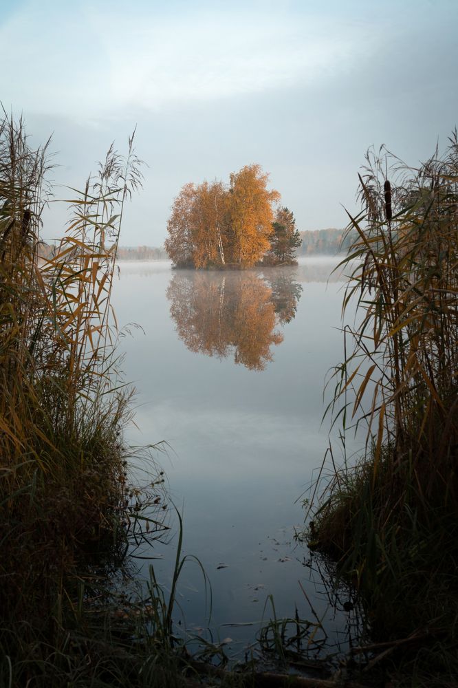 Photograph by Павел Шемякин