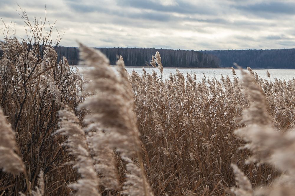 Photograph by Aleksei Utkin
